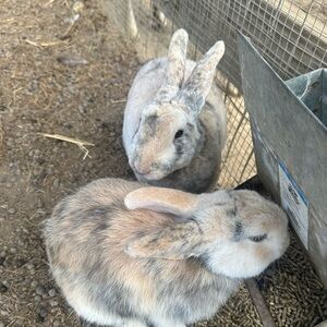 Meet your Posher, Kay